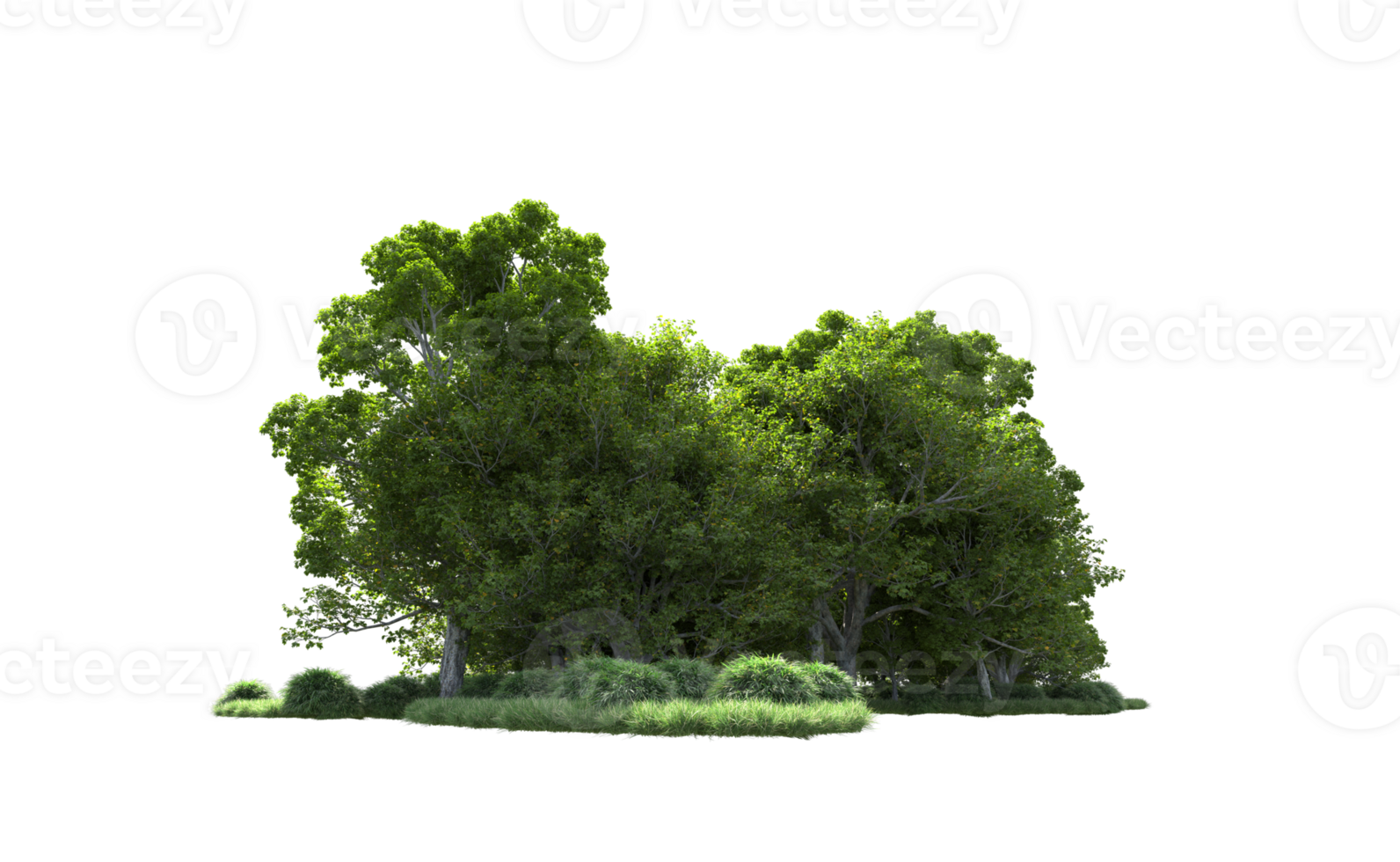 Green forest isolated on background. 3d rendering - illustration png