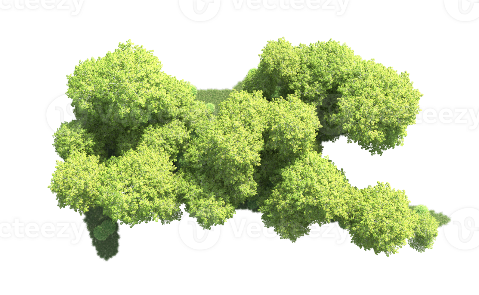 Green forest isolated on background. 3d rendering - illustration png