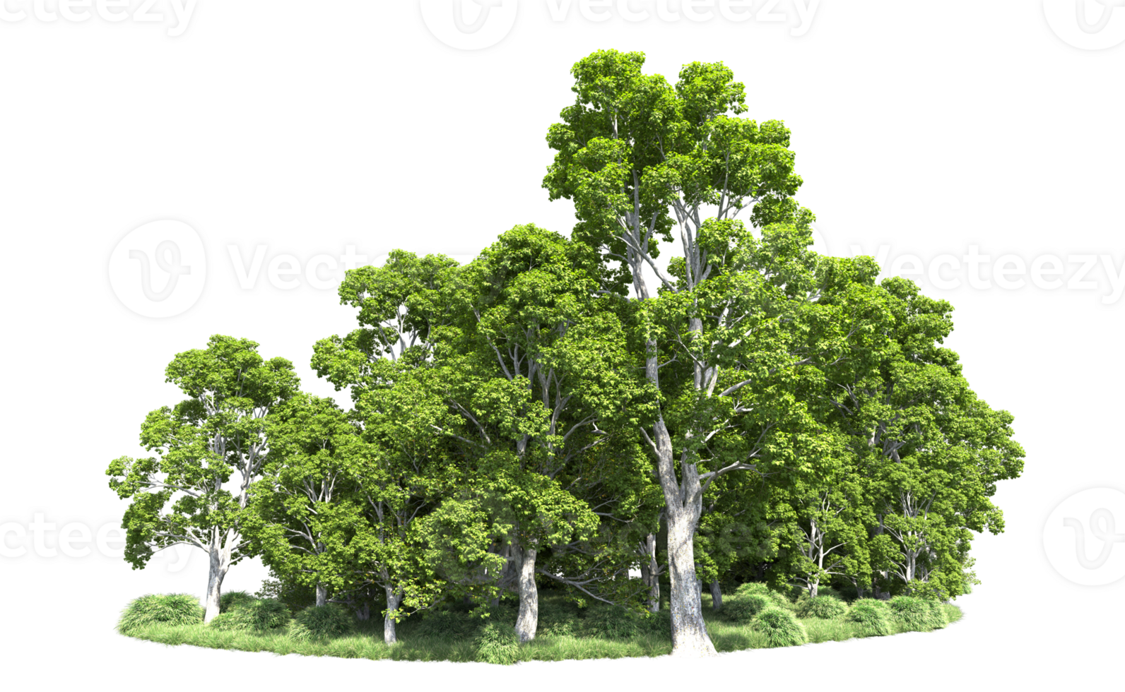 Green forest isolated on background. 3d rendering - illustration png