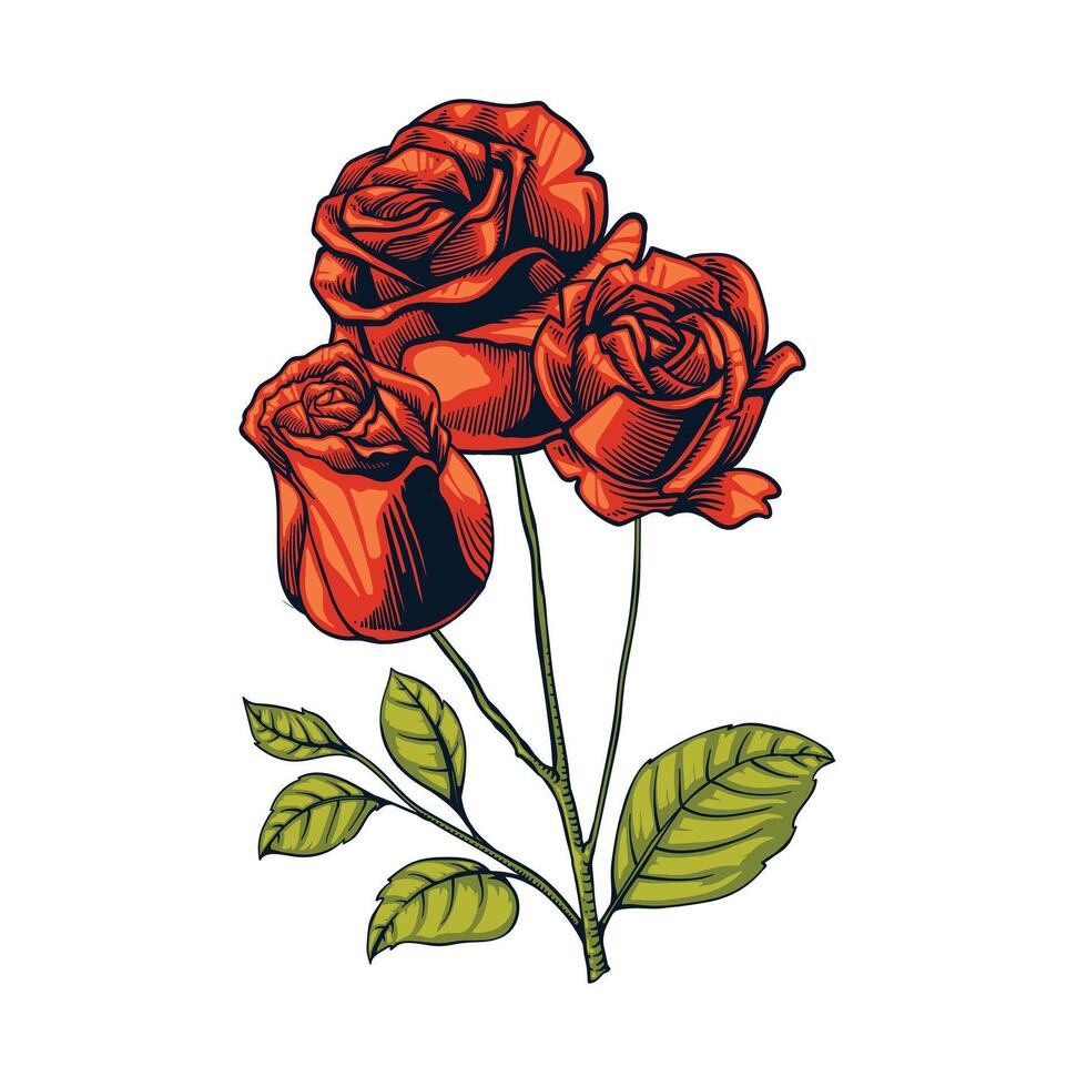 rose flower hand drawn element design vector