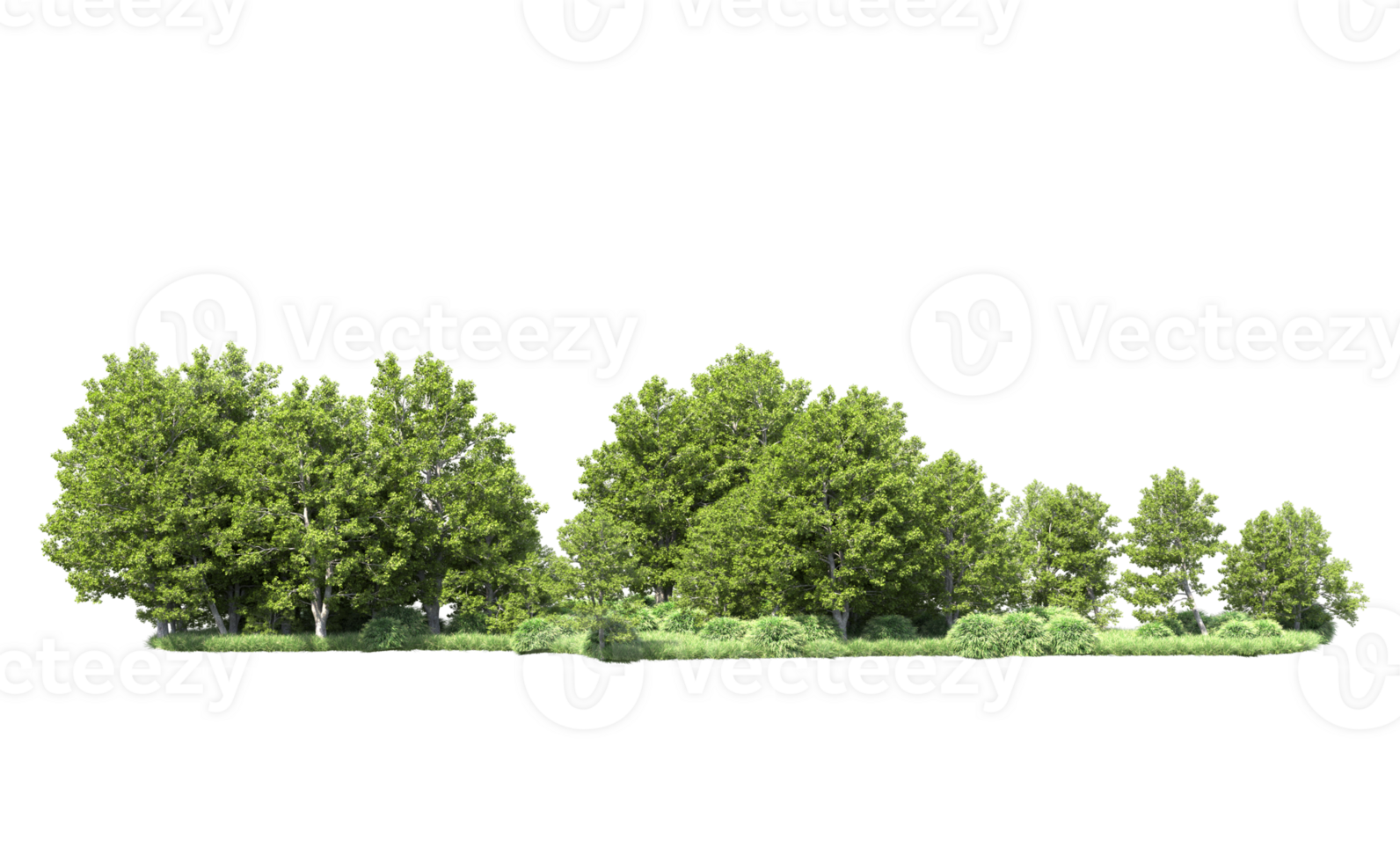 Green forest isolated on background. 3d rendering - illustration png