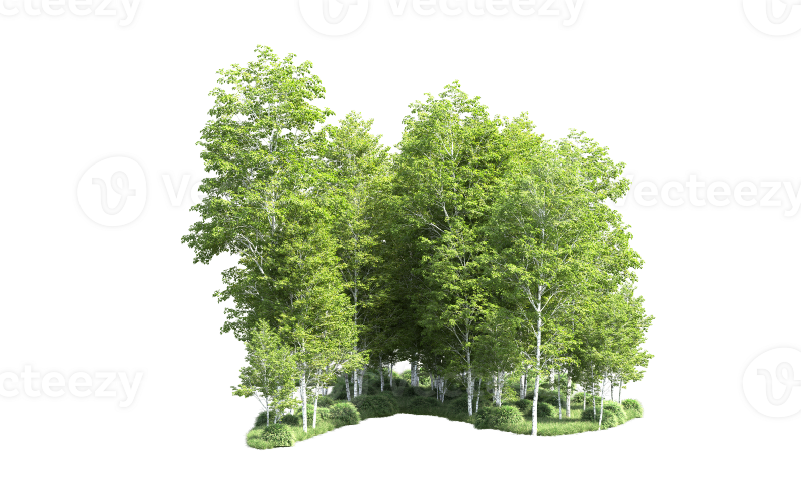 Green forest isolated on background. 3d rendering - illustration png