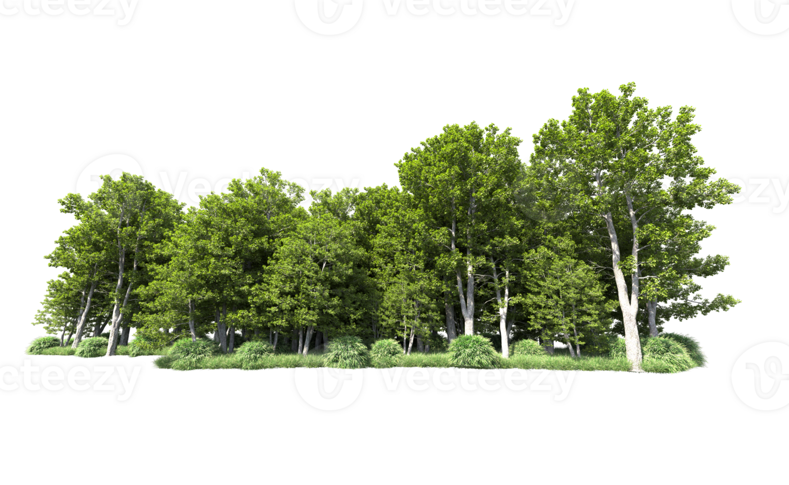 Green forest isolated on background. 3d rendering - illustration png