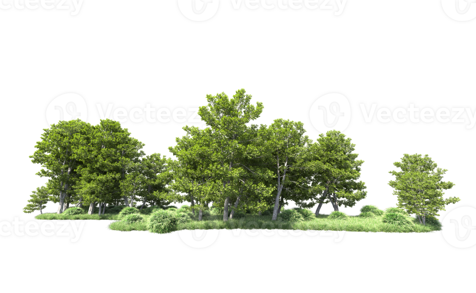 Green forest isolated on background. 3d rendering - illustration png