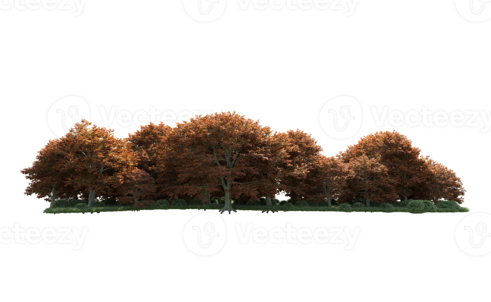 Green forest isolated on background. 3d rendering - illustration png