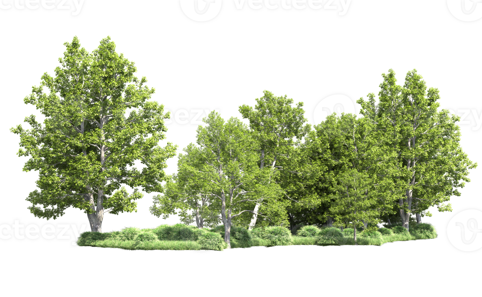 Green forest isolated on background. 3d rendering - illustration png
