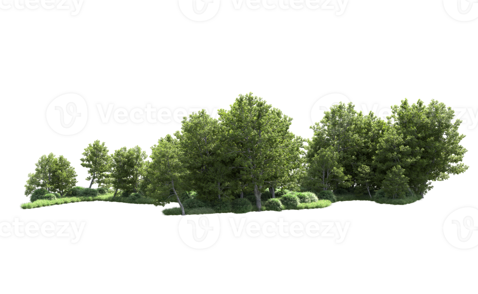 Green forest isolated on background. 3d rendering - illustration png