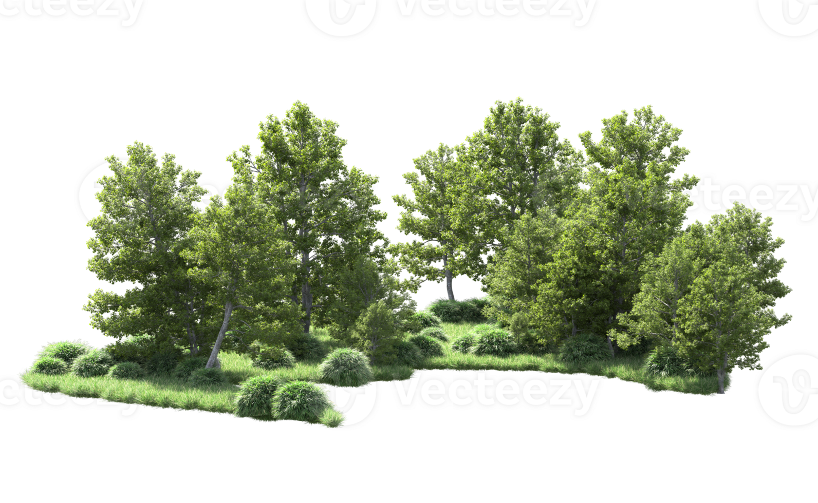 Green forest isolated on background. 3d rendering - illustration png