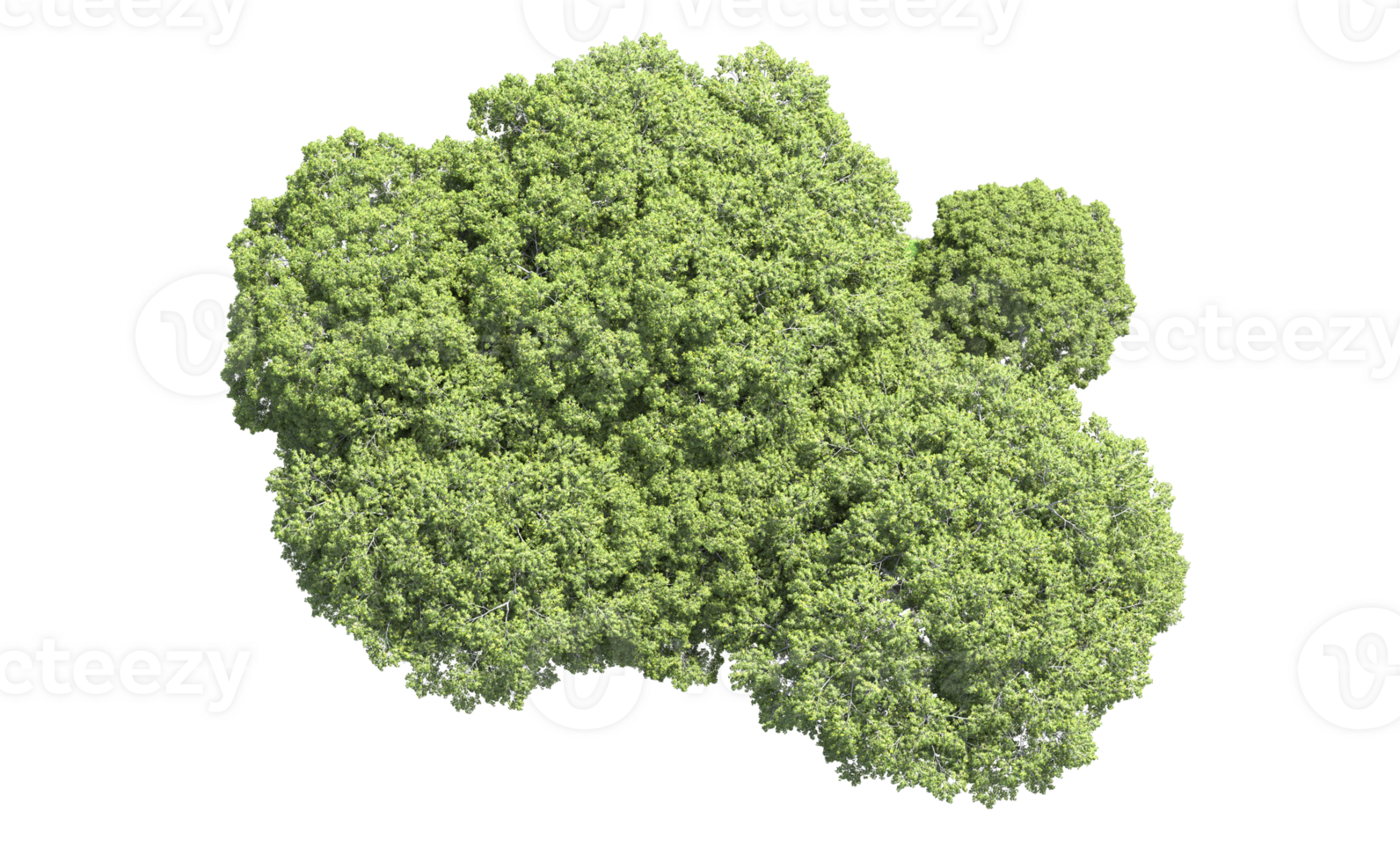 Green forest isolated on background. 3d rendering - illustration png