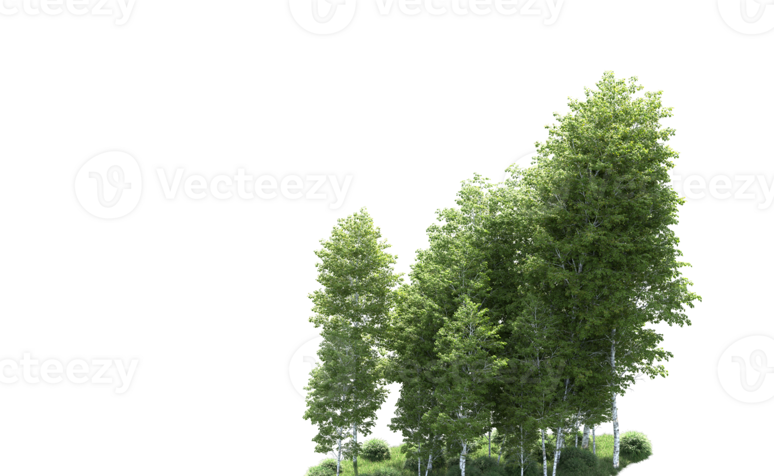 Green forest isolated on background. 3d rendering - illustration png
