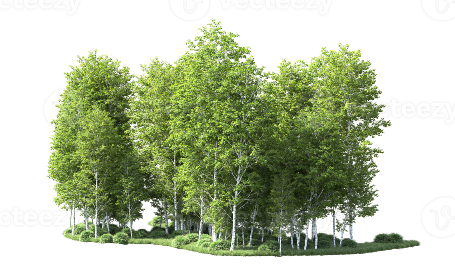 Green forest isolated on background. 3d rendering - illustration png
