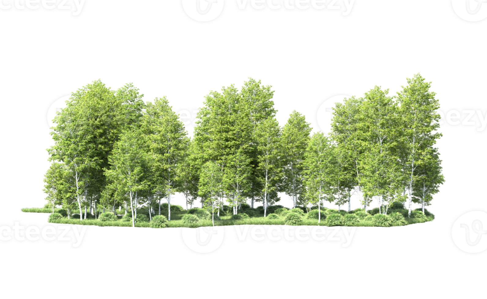 Green forest isolated on background. 3d rendering - illustration png