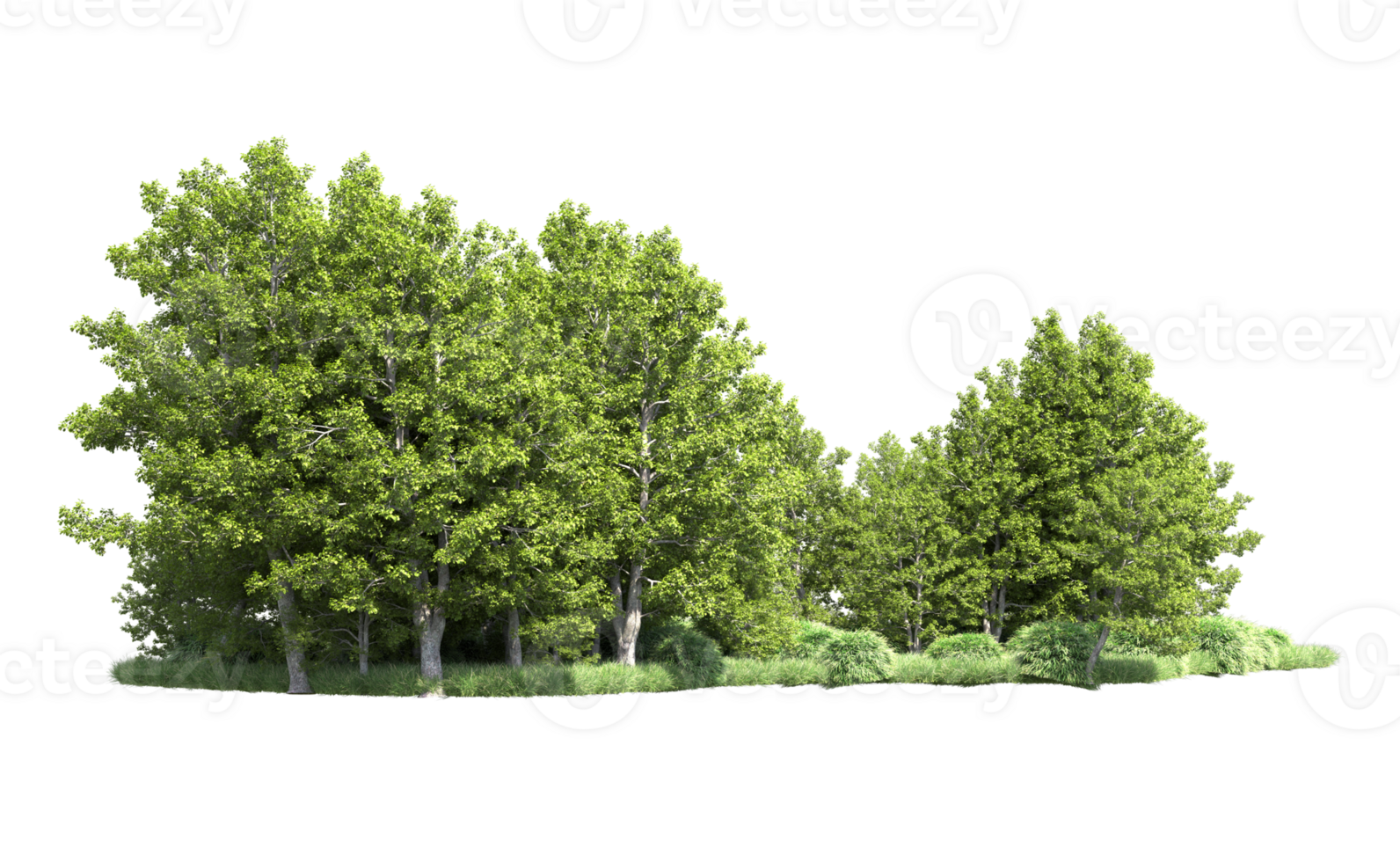 Green forest isolated on background. 3d rendering - illustration png