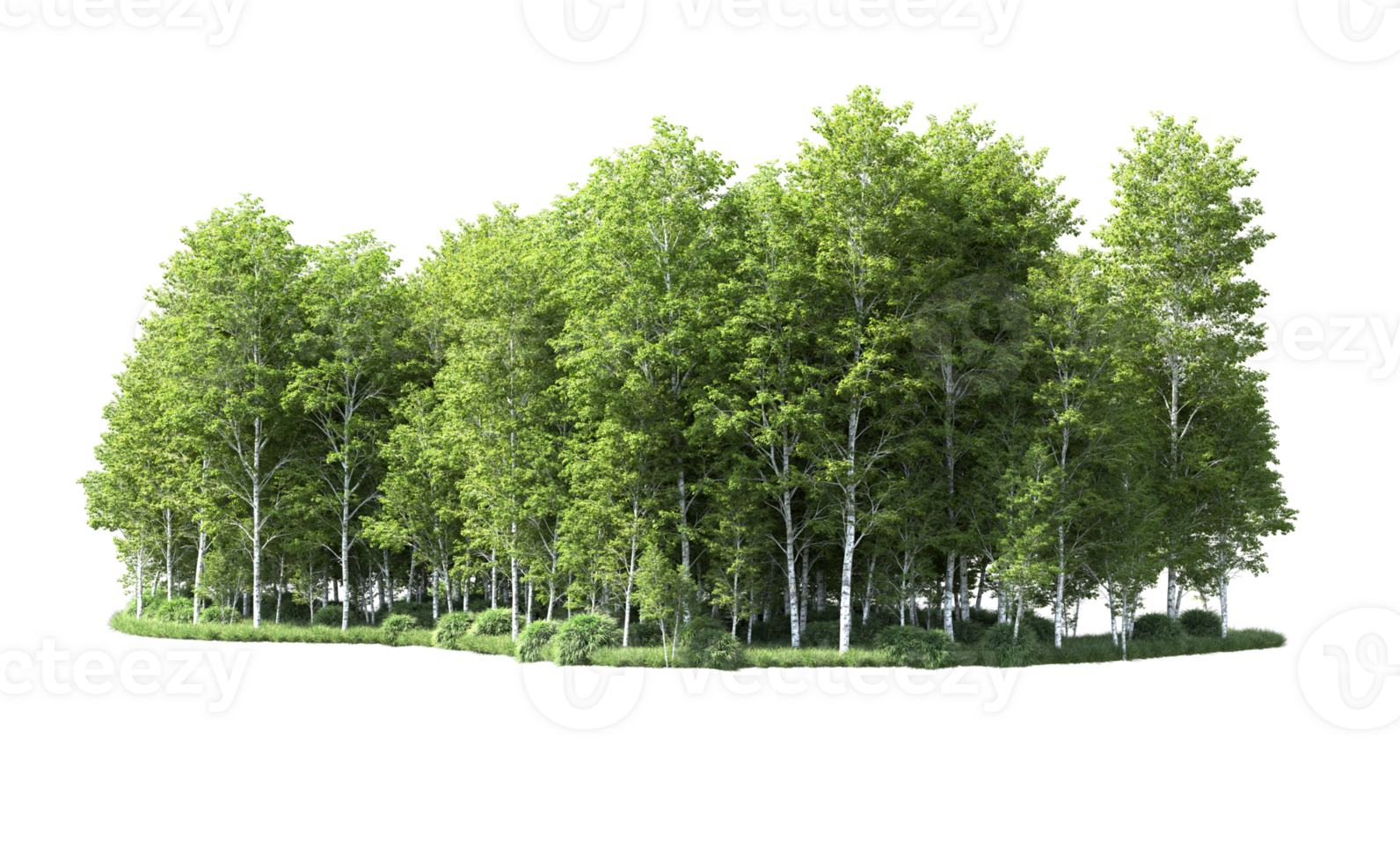 Green forest isolated on background. 3d rendering - illustration png