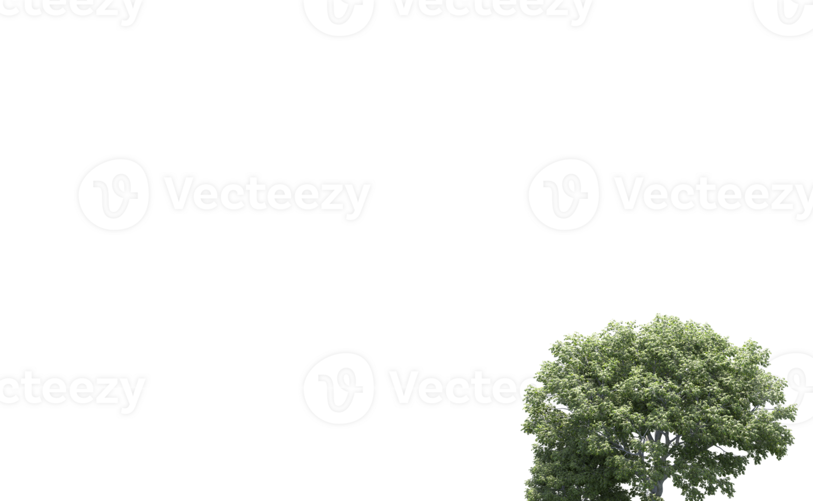 Green forest isolated on background. 3d rendering - illustration png