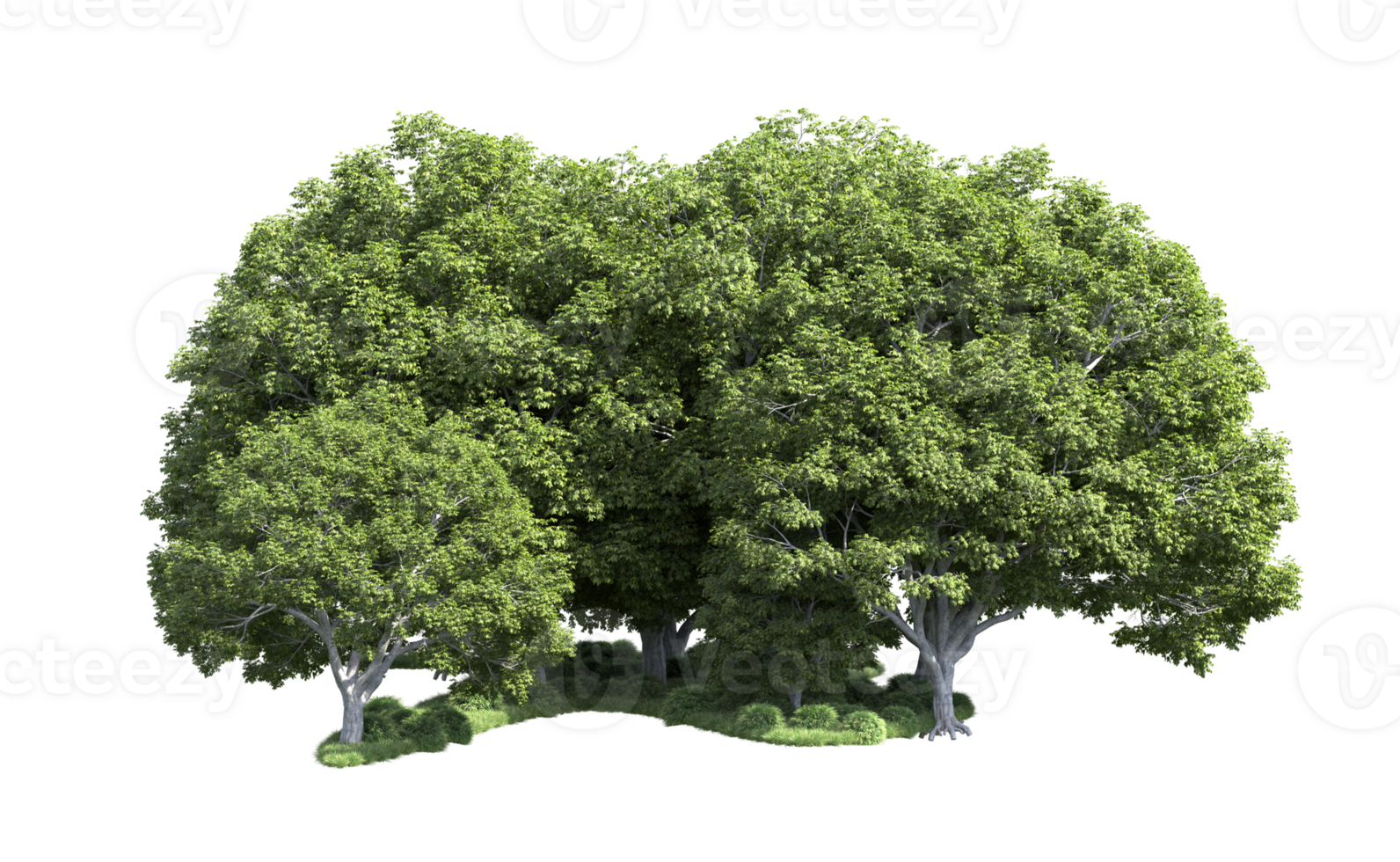 Green forest isolated on background. 3d rendering - illustration png