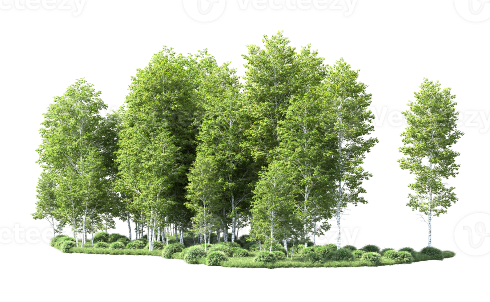 Green forest isolated on background. 3d rendering - illustration png
