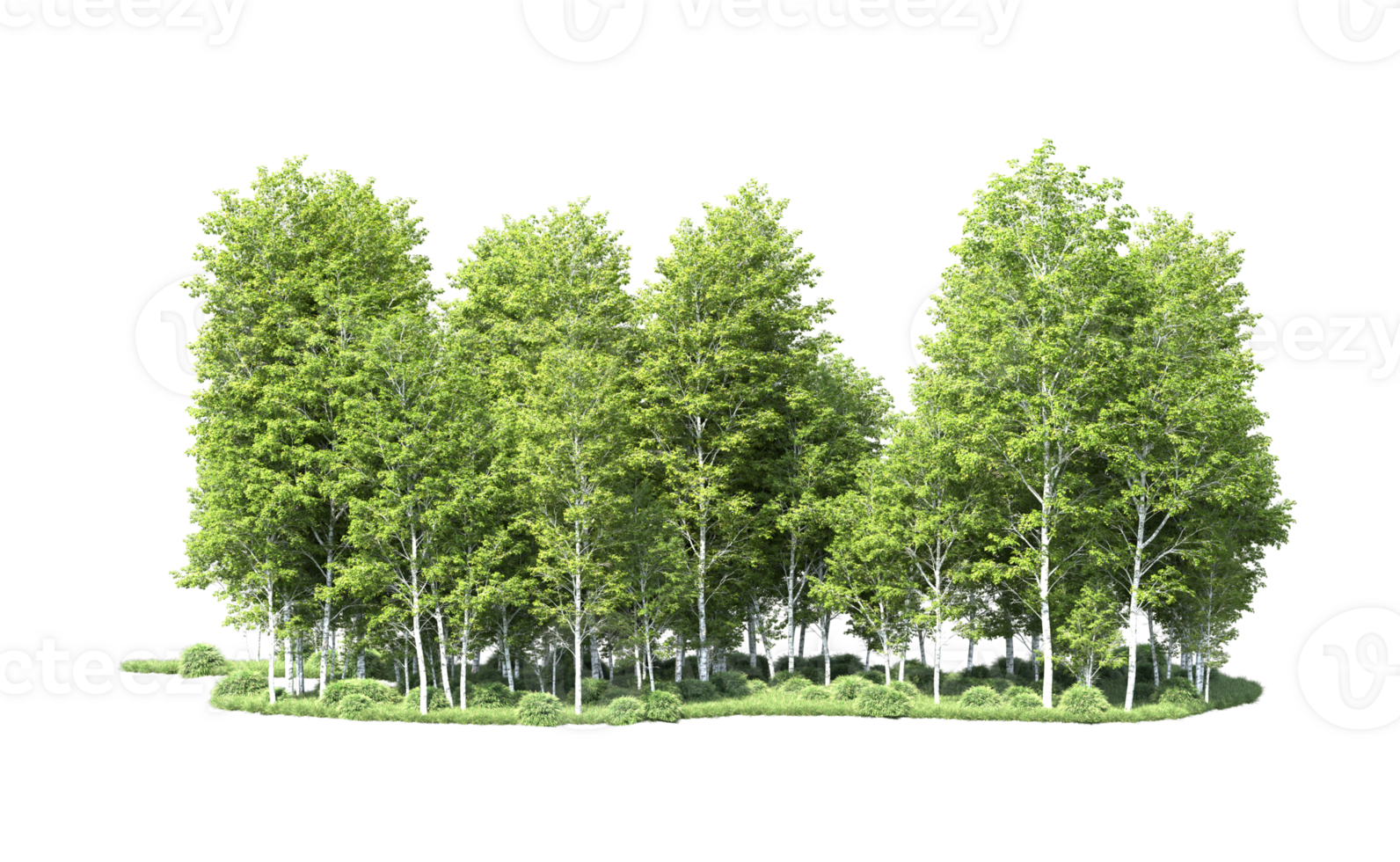 Green forest isolated on background. 3d rendering - illustration png