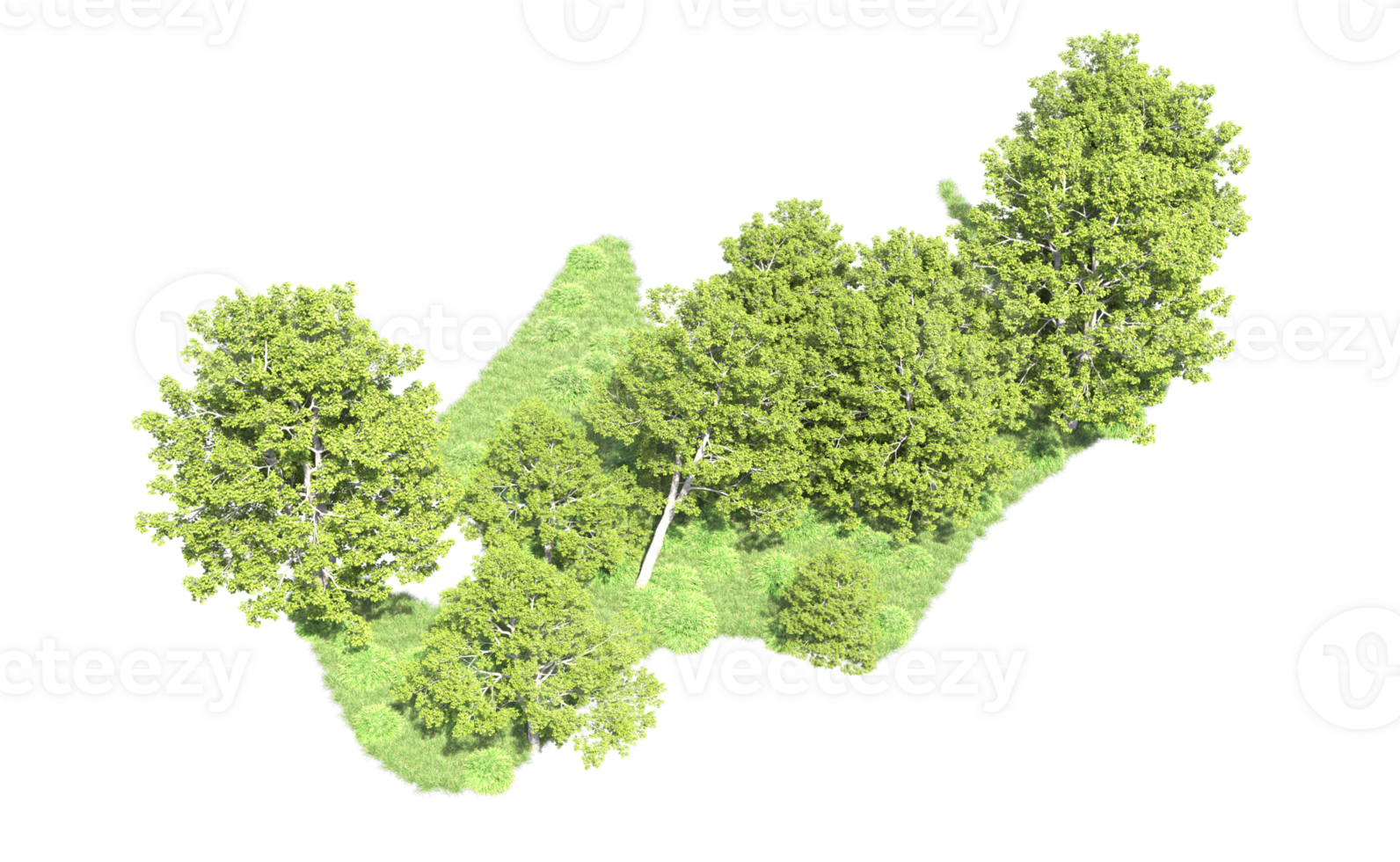 Green forest isolated on background. 3d rendering - illustration png