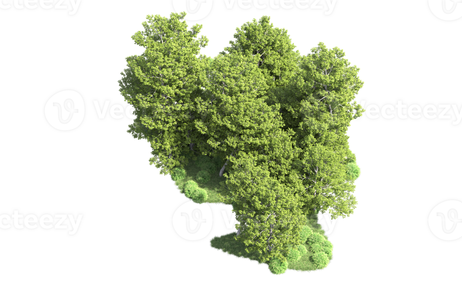 verde bosque aislado en antecedentes. 3d representación - ilustración png