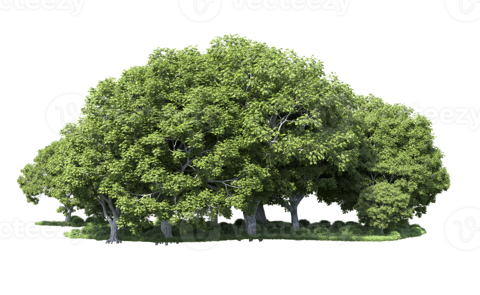 Green forest isolated on background. 3d rendering - illustration png