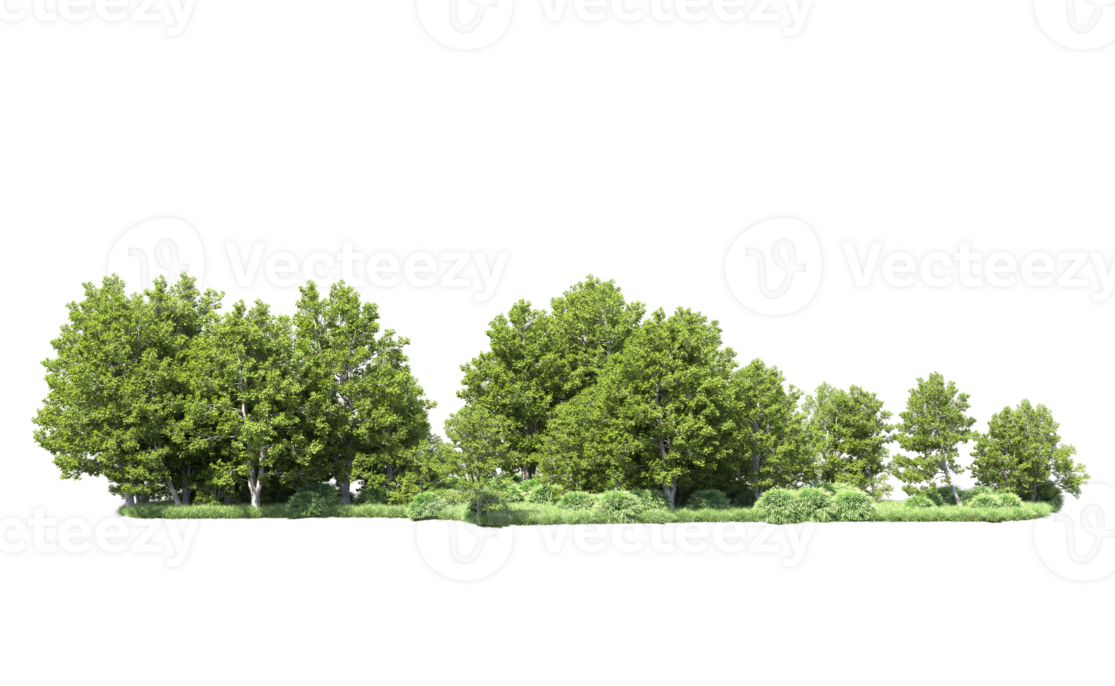 Green forest isolated on background. 3d rendering - illustration png
