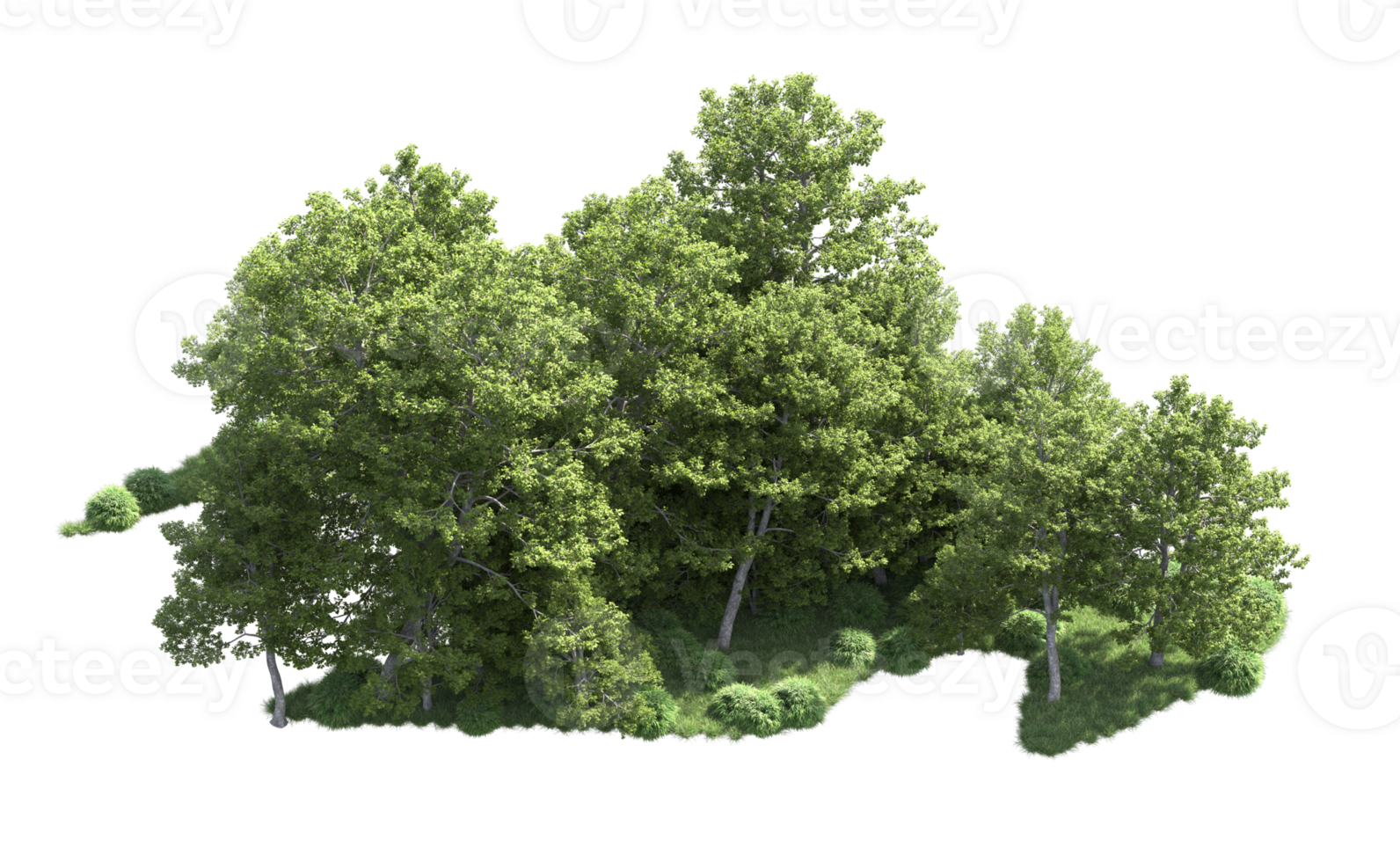 Green forest isolated on background. 3d rendering - illustration png