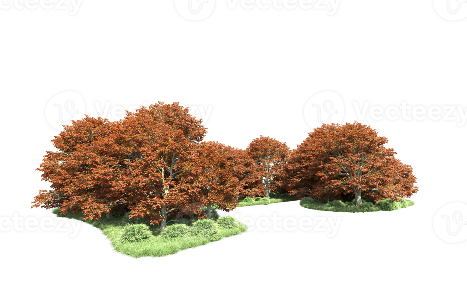 Green forest isolated on background. 3d rendering - illustration png