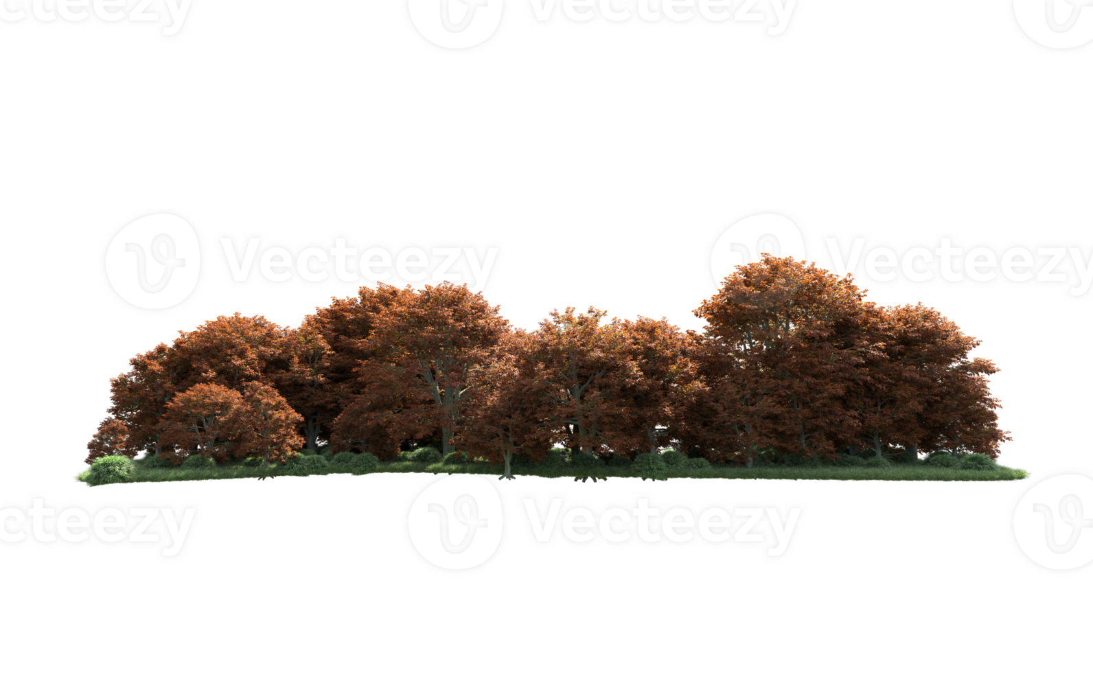 Green forest isolated on background. 3d rendering - illustration png