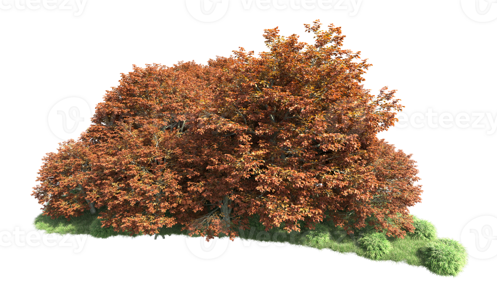 Green forest isolated on background. 3d rendering - illustration png