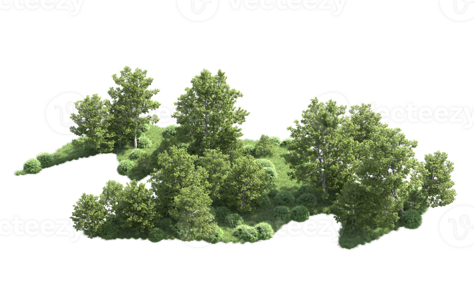 Green forest isolated on background. 3d rendering - illustration png