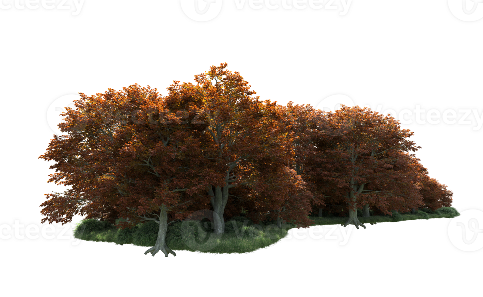 Green forest isolated on background. 3d rendering - illustration png