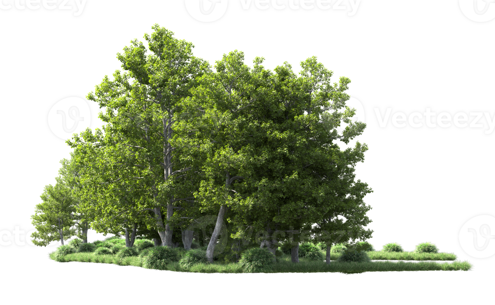 Green forest isolated on background. 3d rendering - illustration png