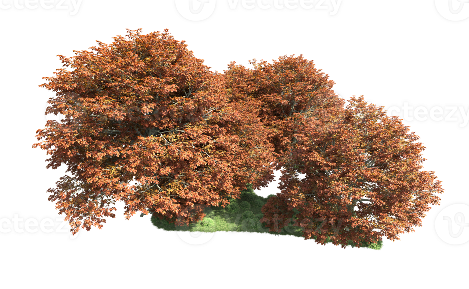 Green forest isolated on background. 3d rendering - illustration png