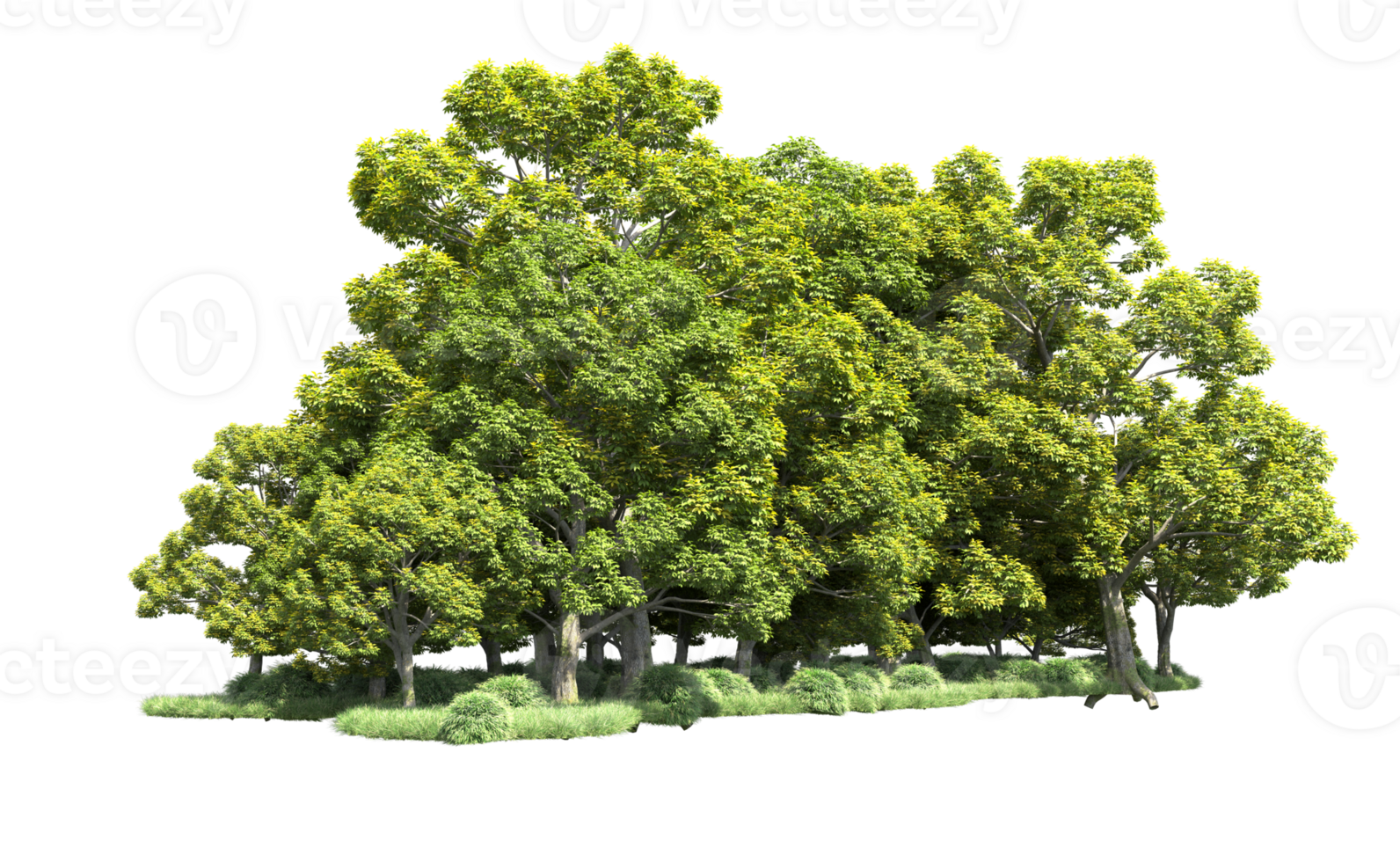 Green forest isolated on background. 3d rendering - illustration png