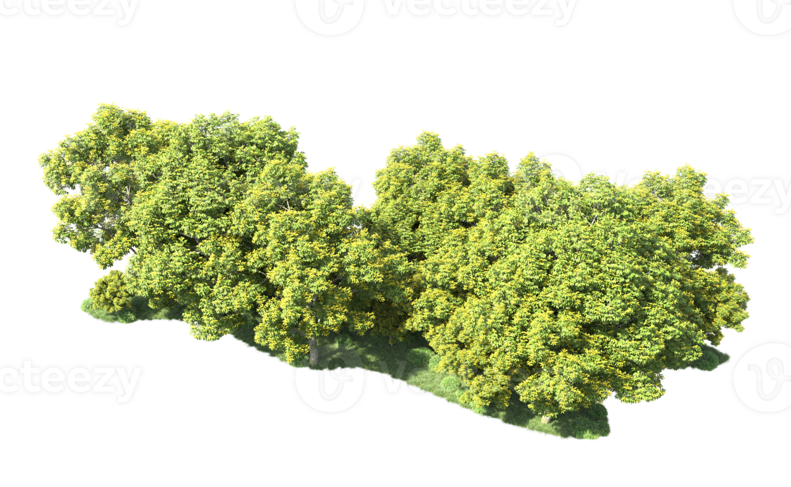 Green forest isolated on background. 3d rendering - illustration png
