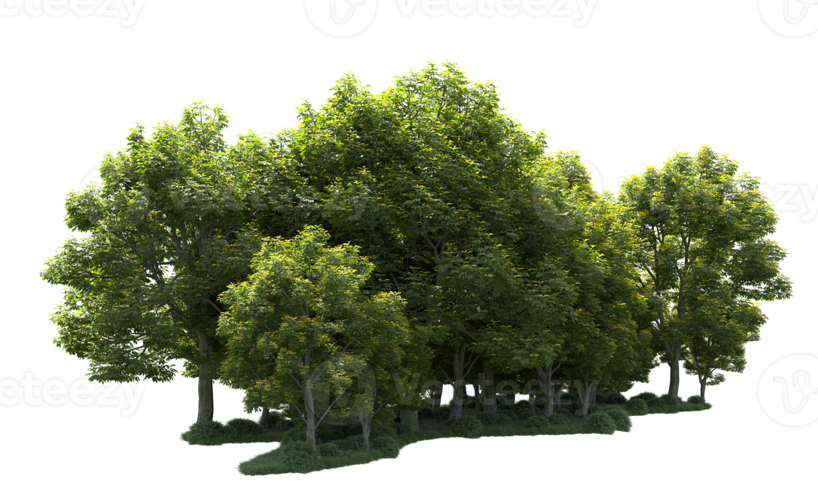 Green forest isolated on background. 3d rendering - illustration png
