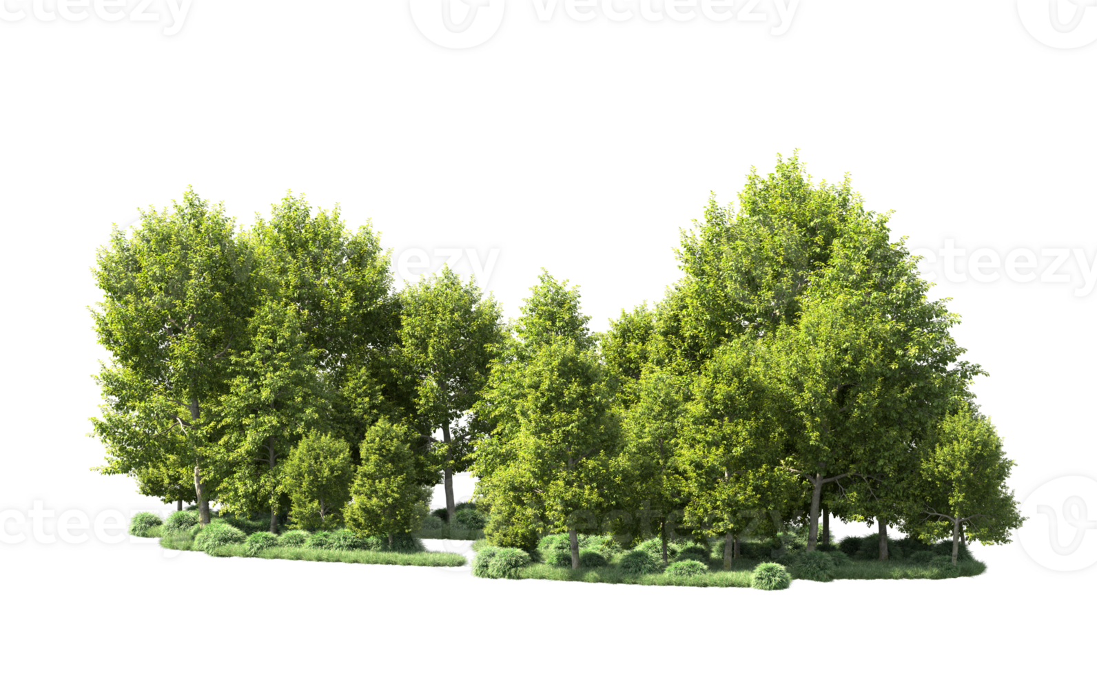 Green forest isolated on background. 3d rendering - illustration png