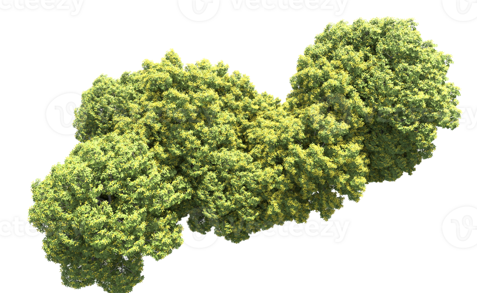 Green forest isolated on background. 3d rendering - illustration png