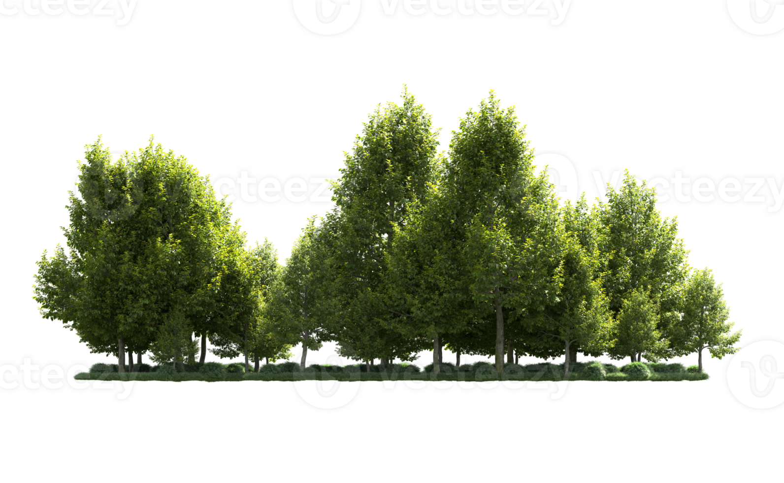 Green forest isolated on background. 3d rendering - illustration png