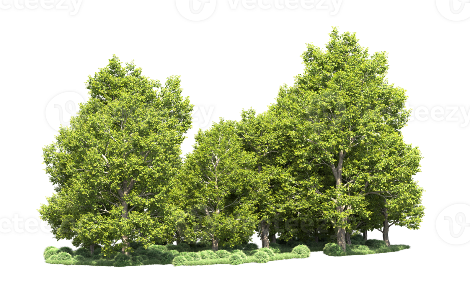 Green forest isolated on background. 3d rendering - illustration png