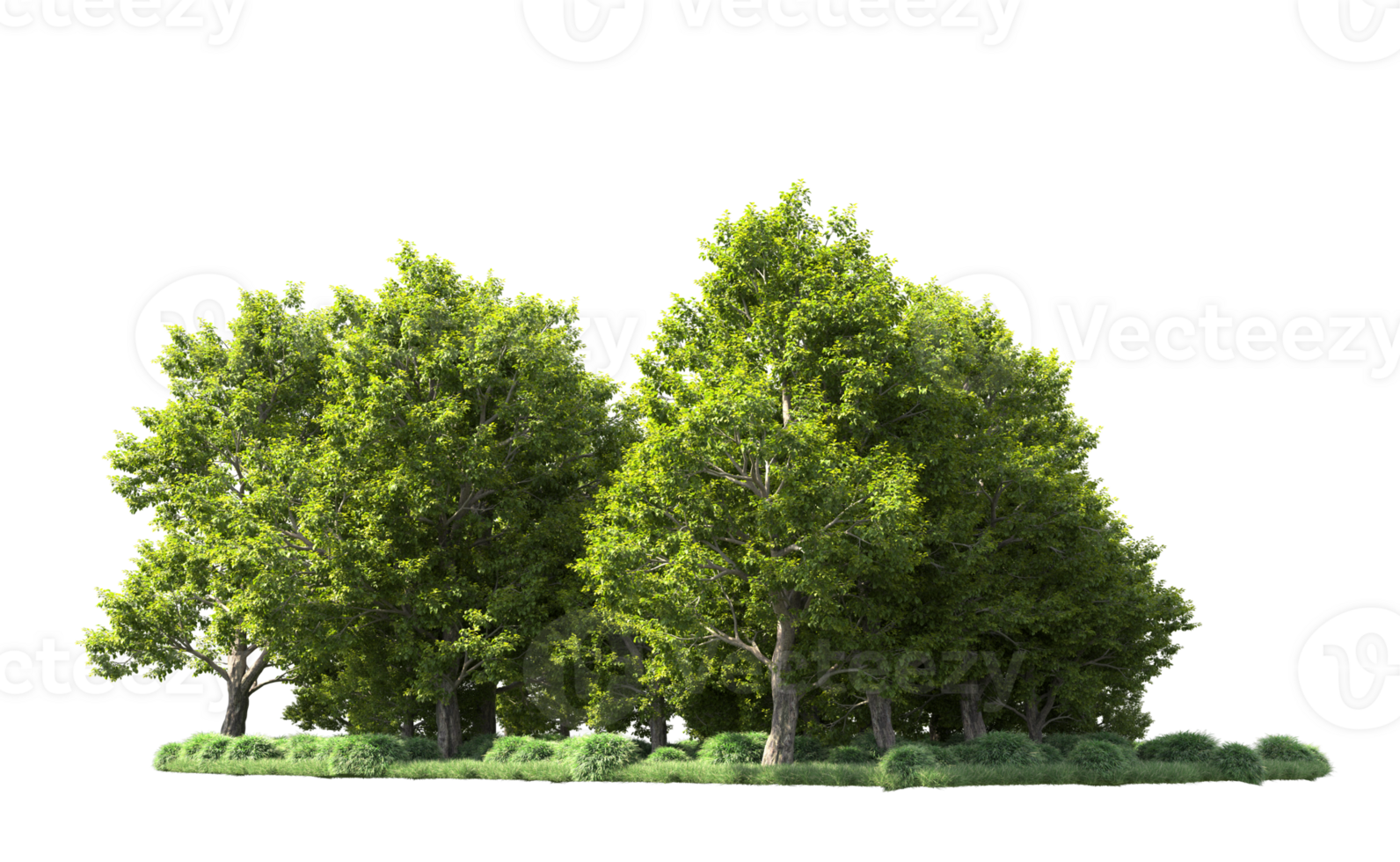 Green forest isolated on background. 3d rendering - illustration png