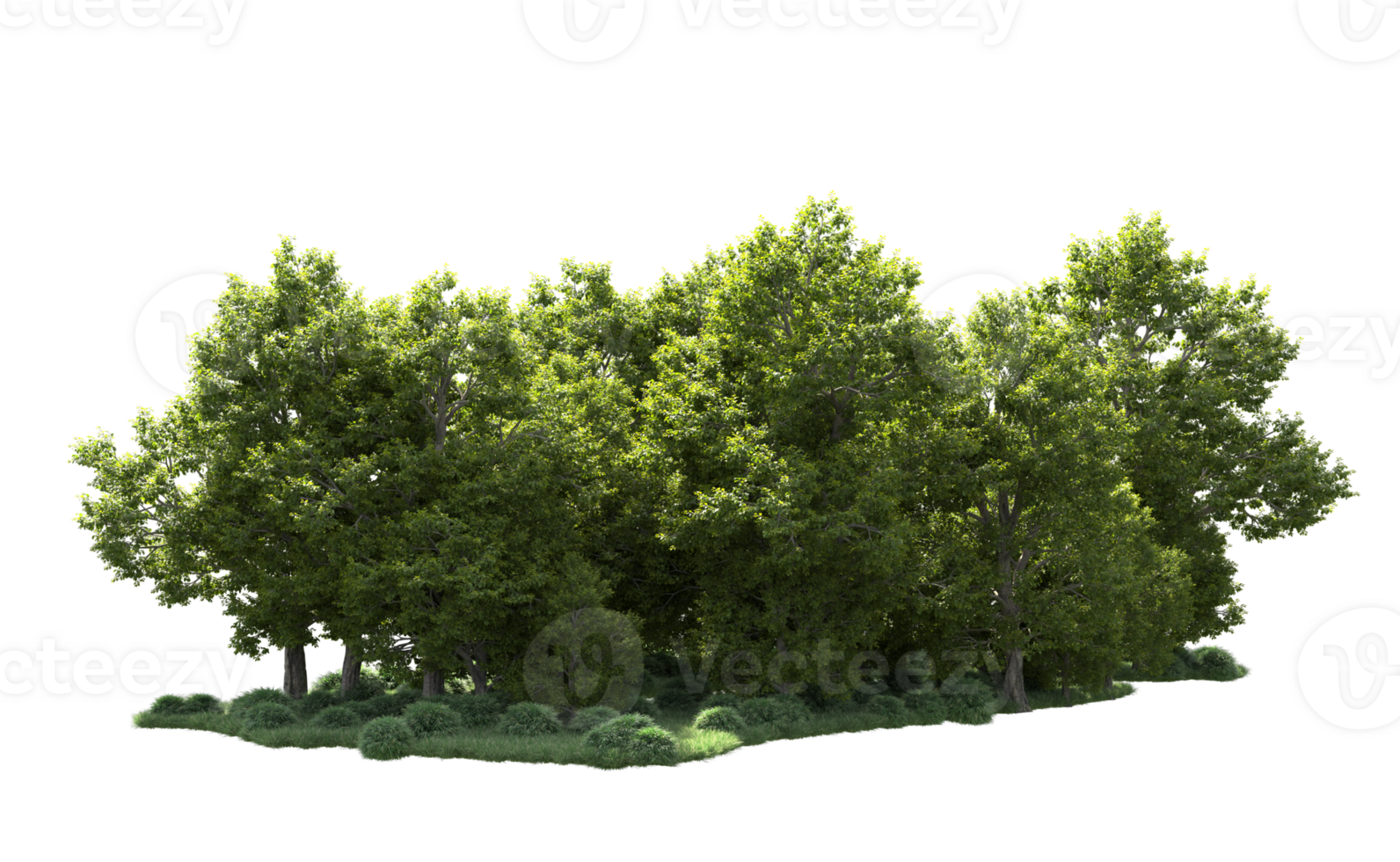 Green forest isolated on background. 3d rendering - illustration png