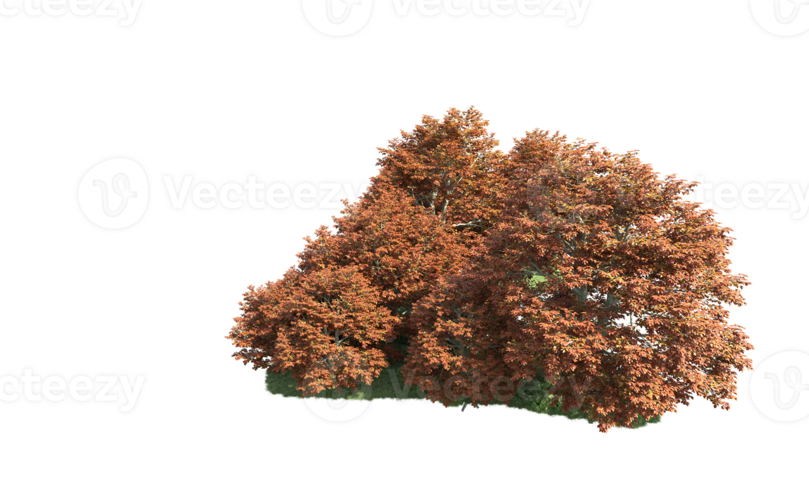 Green forest isolated on background. 3d rendering - illustration png