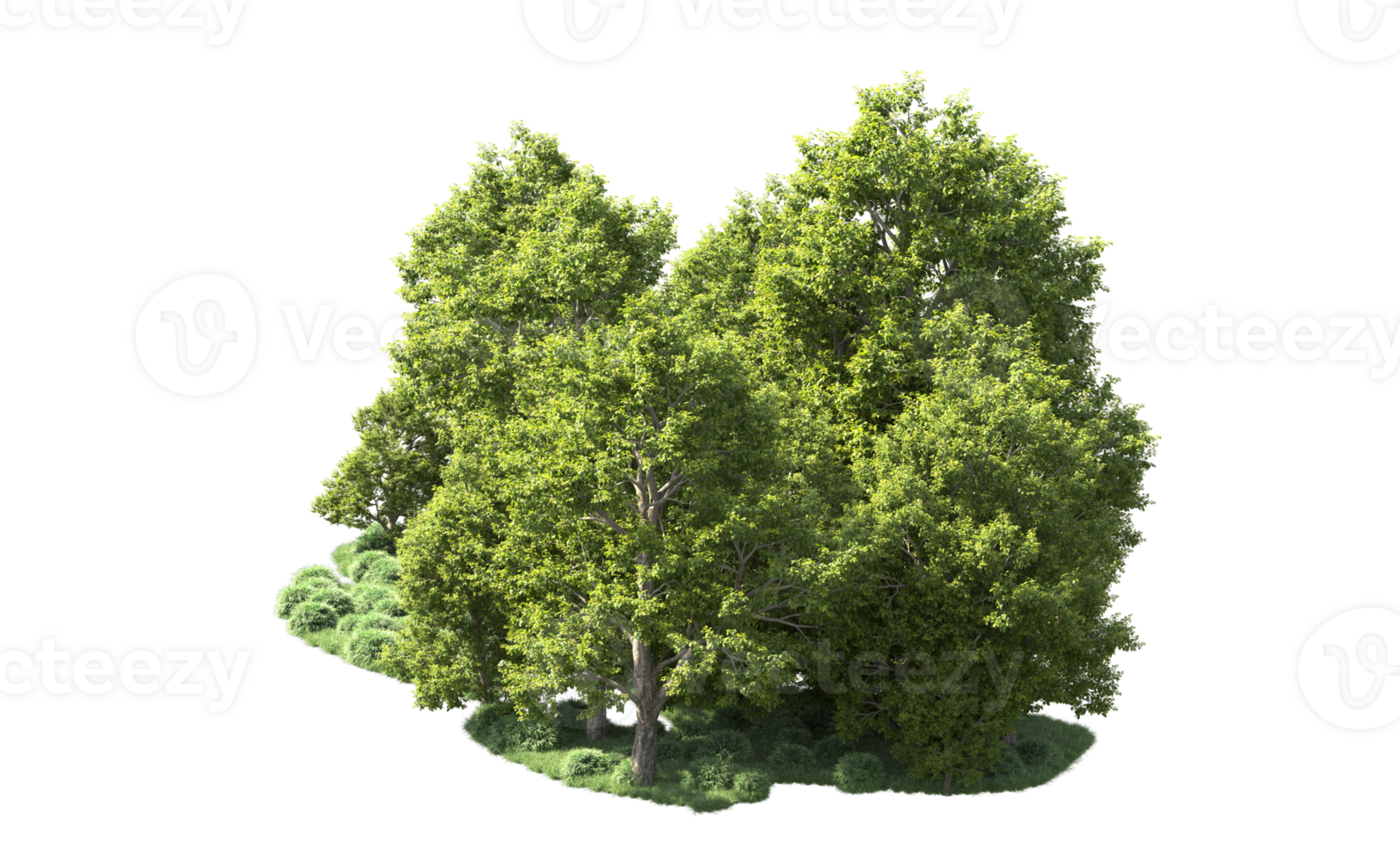 Green forest isolated on background. 3d rendering - illustration png