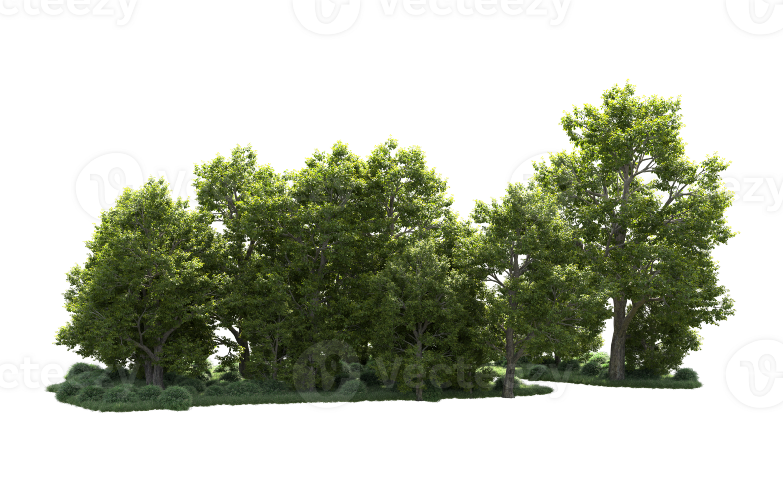 Green forest isolated on background. 3d rendering - illustration png