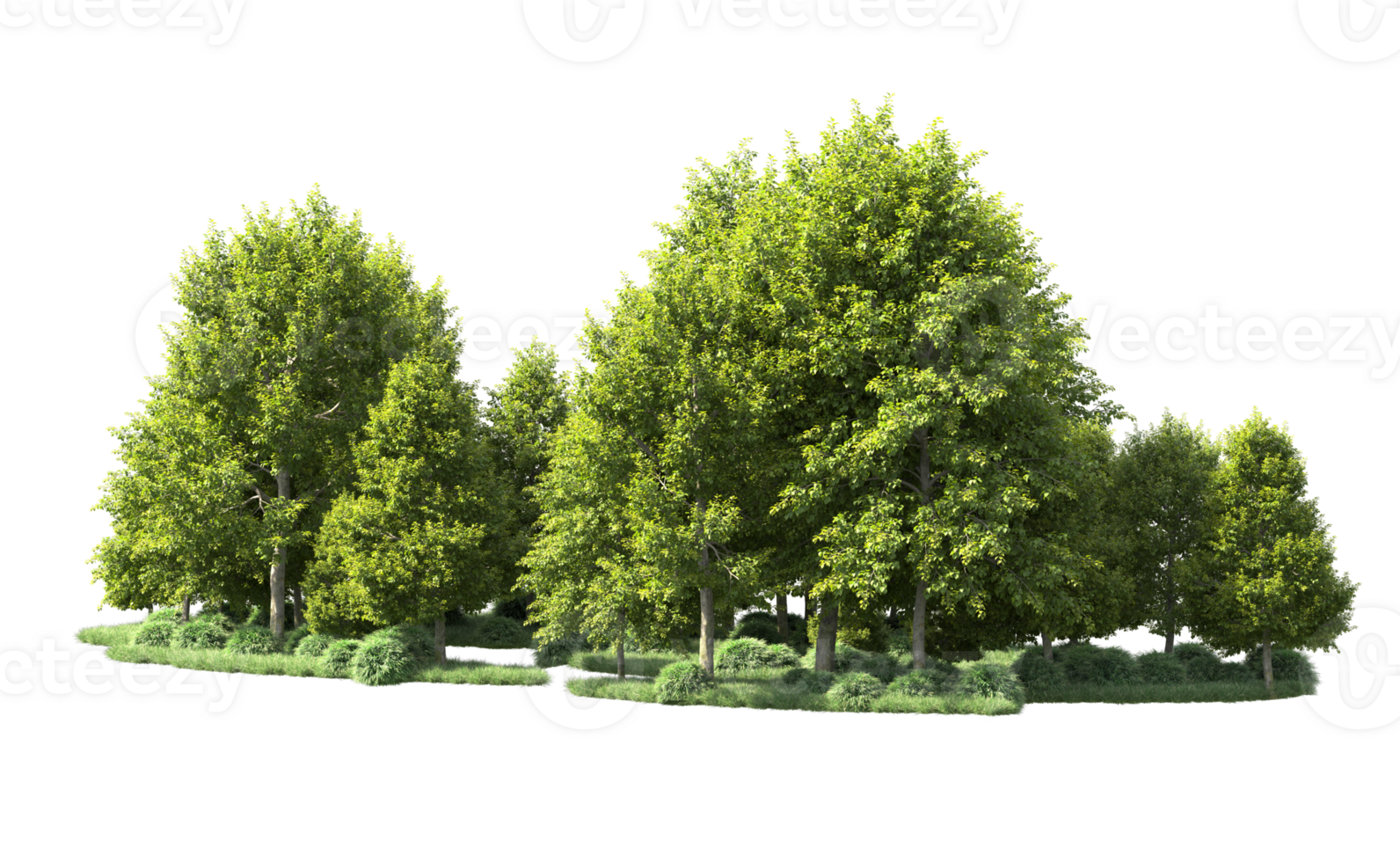 Green forest isolated on background. 3d rendering - illustration png