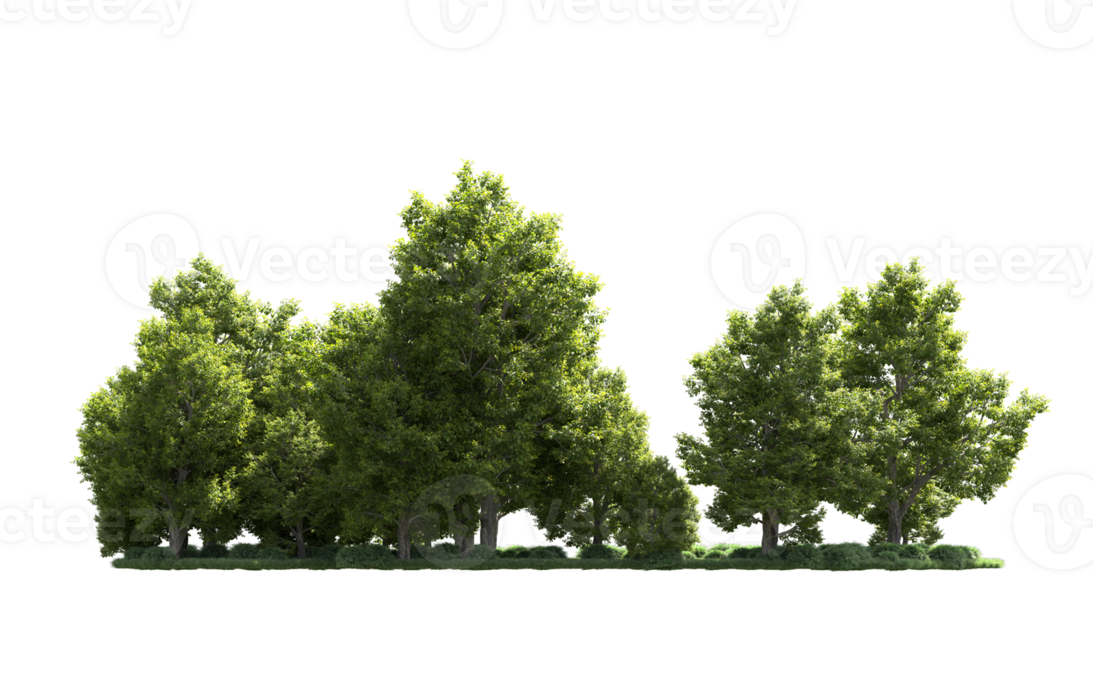 Green forest isolated on background. 3d rendering - illustration png