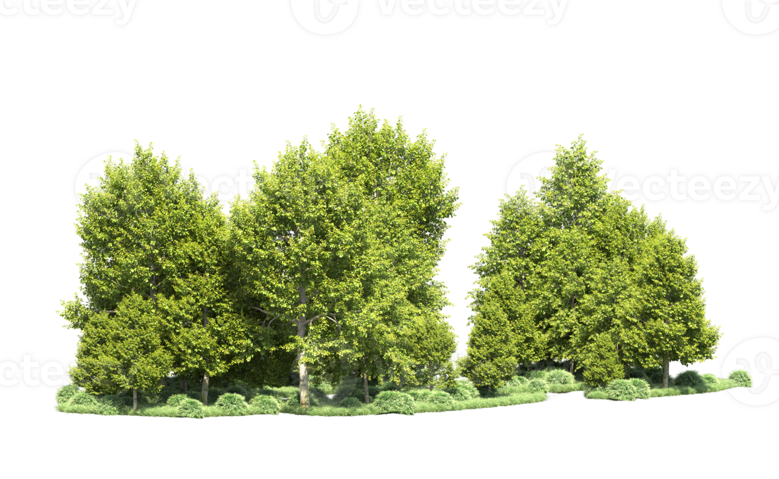Green forest isolated on background. 3d rendering - illustration png