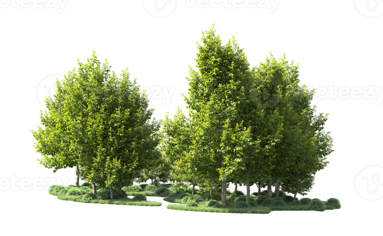 Green forest isolated on background. 3d rendering - illustration png